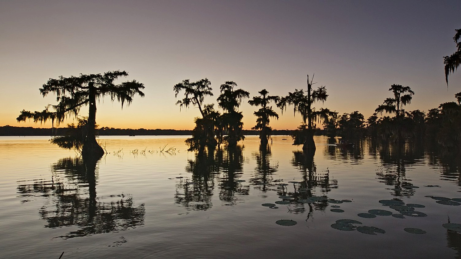 Louisiana overview image
