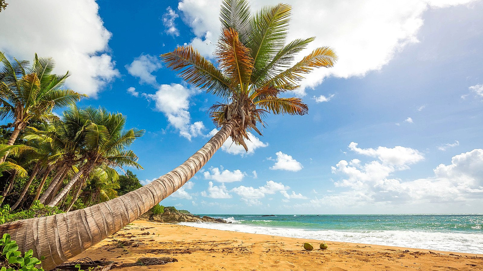 Puerto Rico overview image