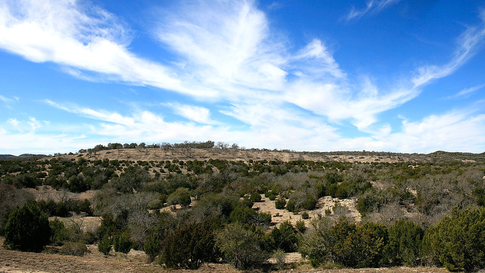 Texas overview image