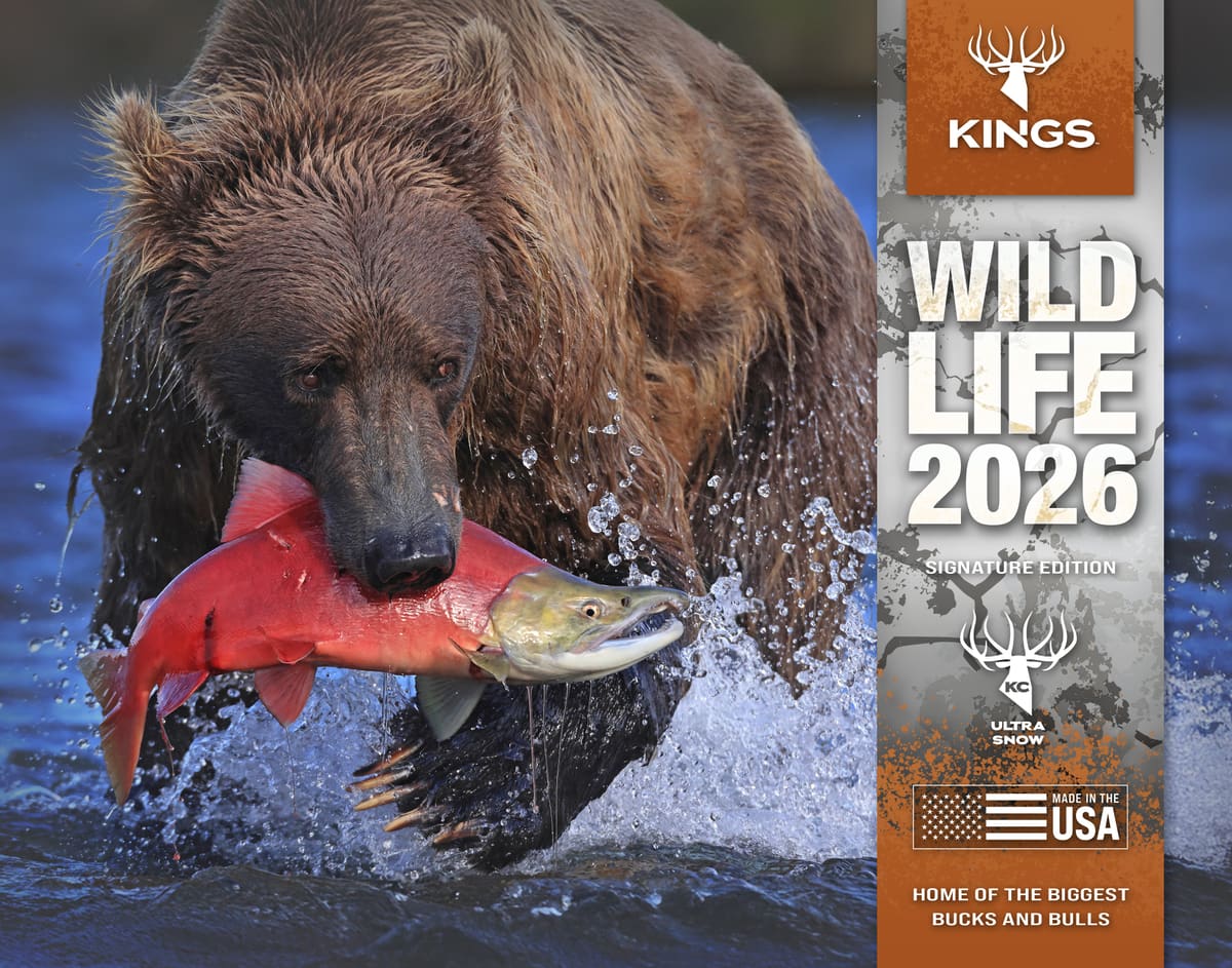 2026 Kings Wildlife Calendar