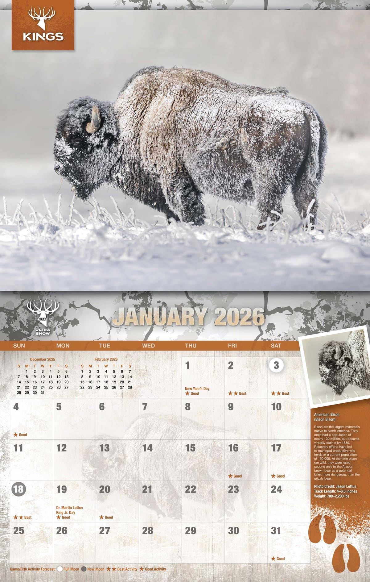 2026 Kings Wildlife Calendar