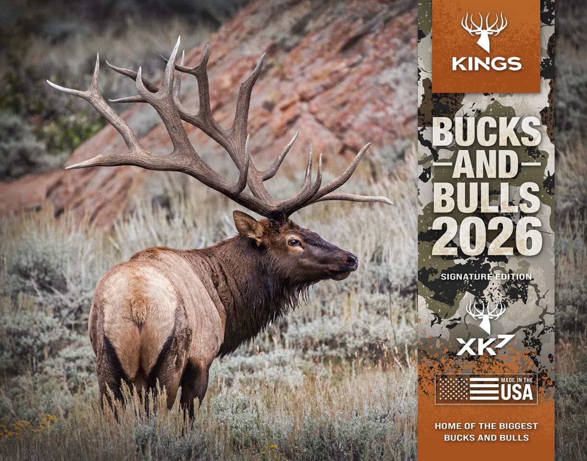2026 Pick ANY 3 Calendar Bundle