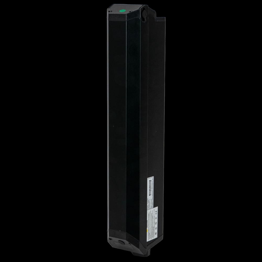 48V20Ah Original Battery for Burchda RX70/RX20