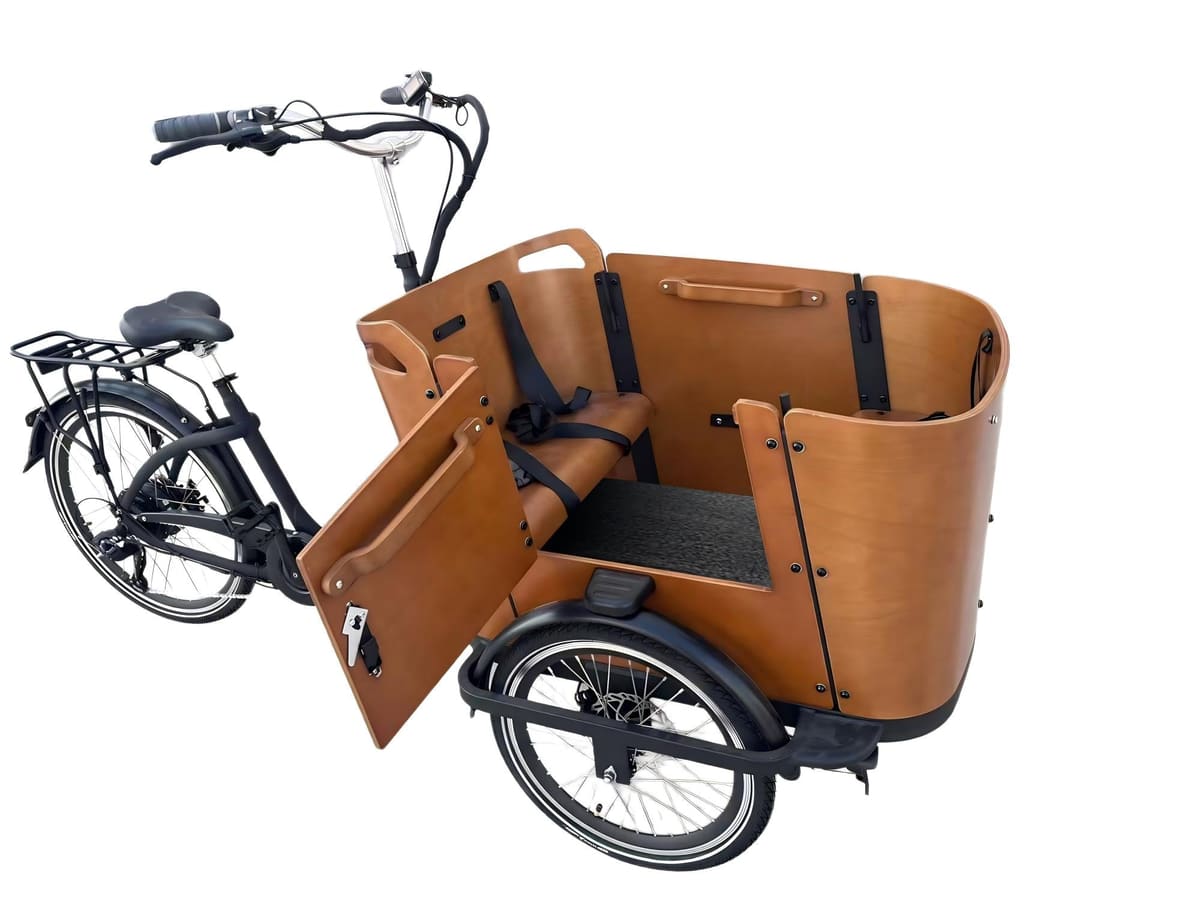Caravan Electric Bike