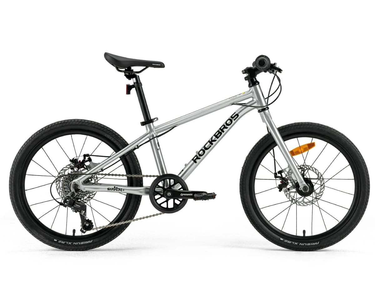 Darwin III 20-Inch Kids Bike - Rigid Fork