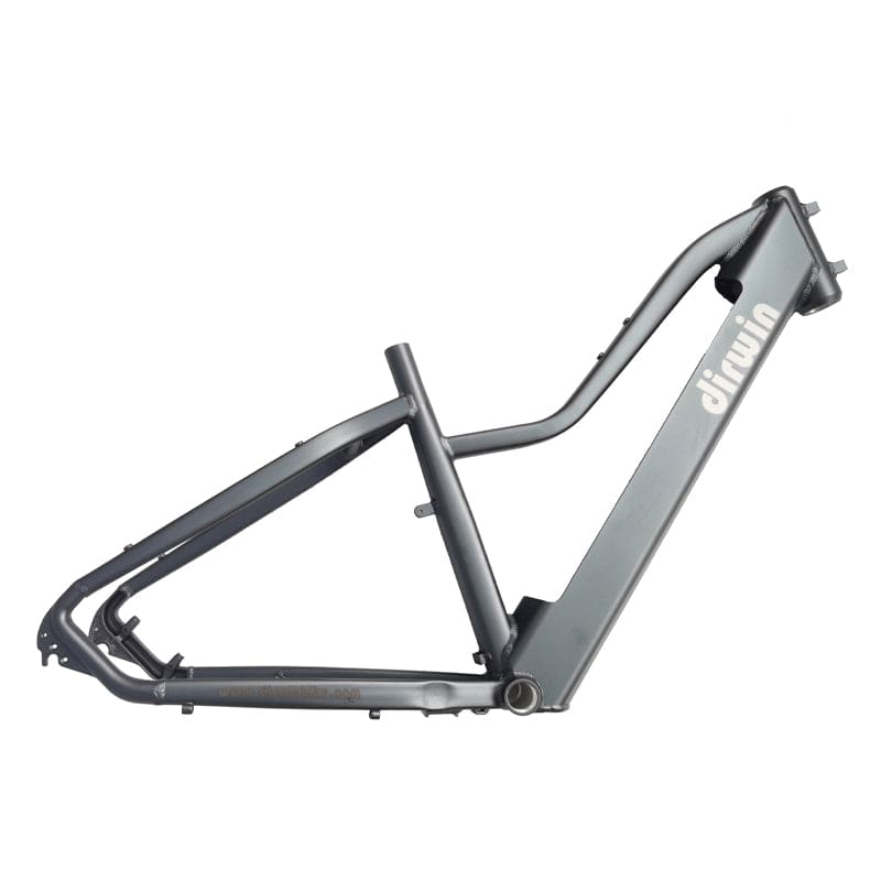 Dirwin Bike Replacement Frame