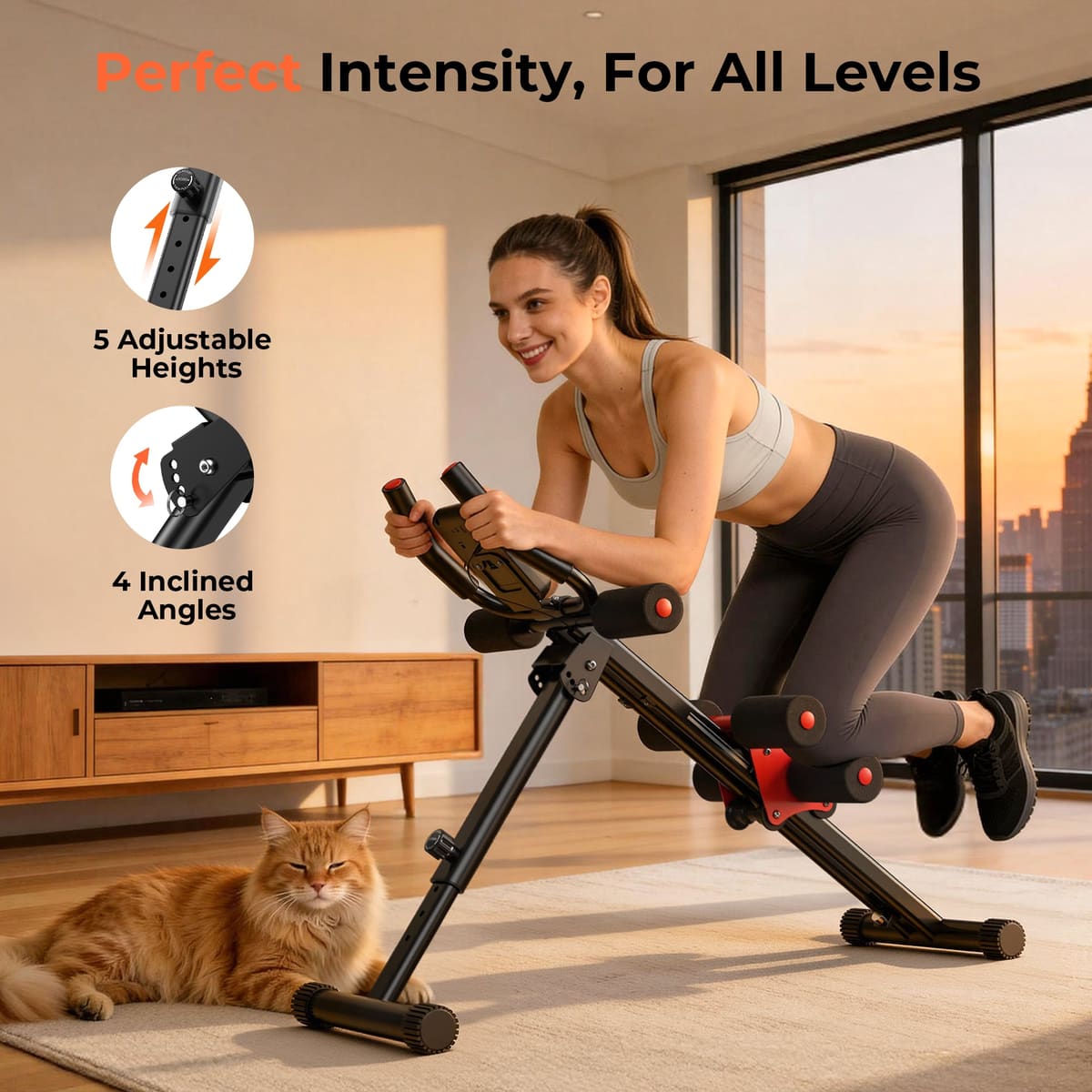 FED Fitness Flybird Series AW1 Foldable Ab Workout Machine