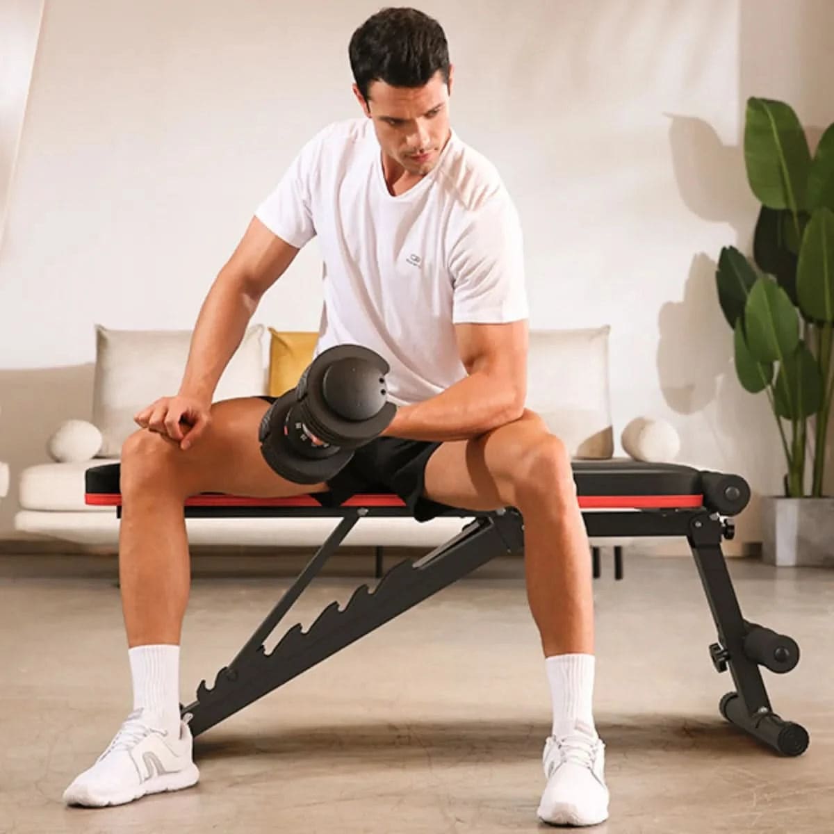 FED Fitness Flybird Series WB4 Foldable Adjustable Bench With Resistance Bands