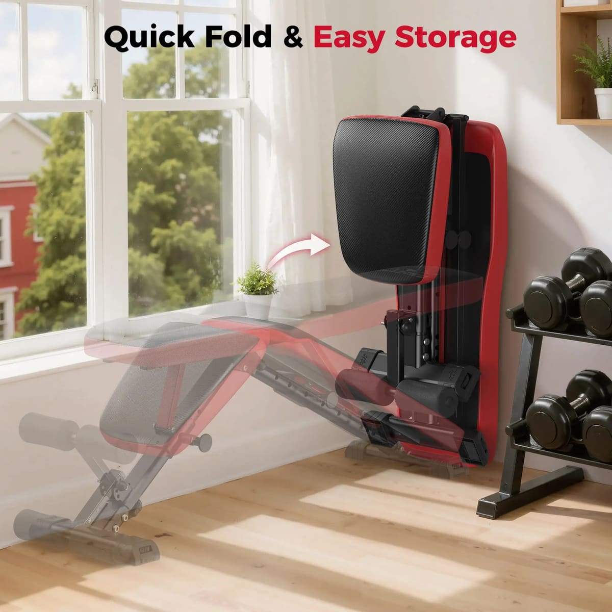 FED Fitness Flybird Series WB6 Foldable Adjustable Weight Bench Classic