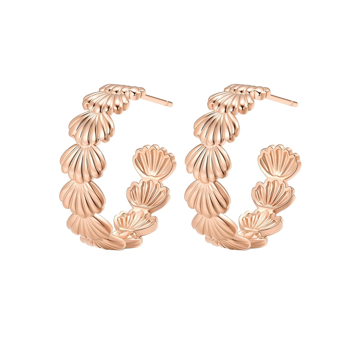Seashell Hoop Earrings Waterproof