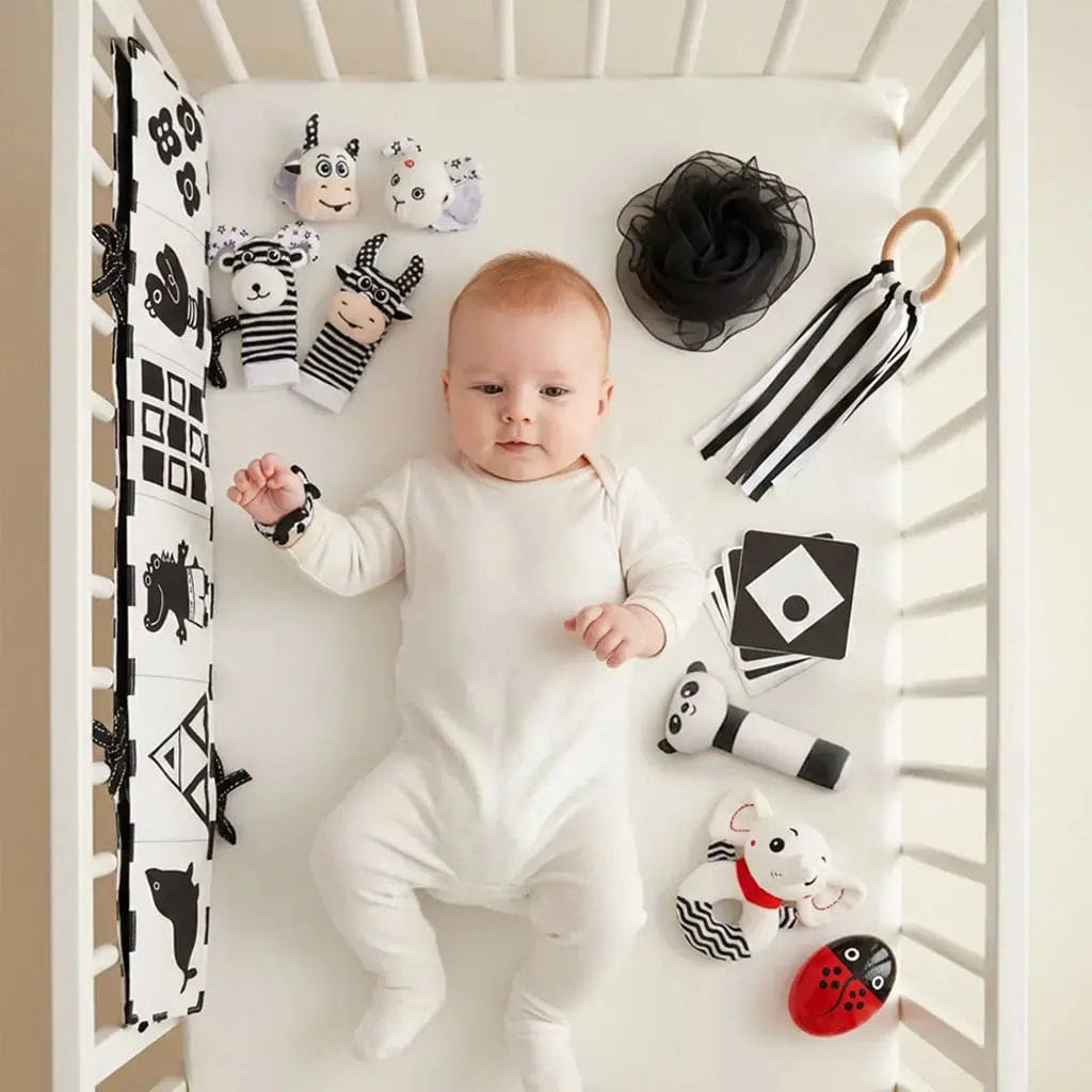 Black & White Sensory Toys for Newborns 0-6M