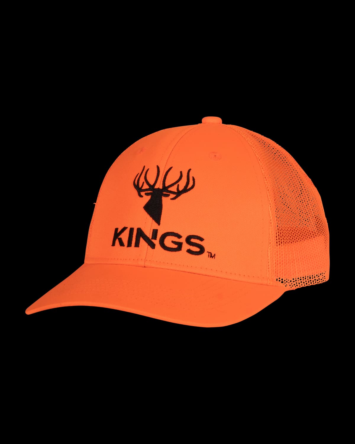 Logo Blaze Snapback Hat