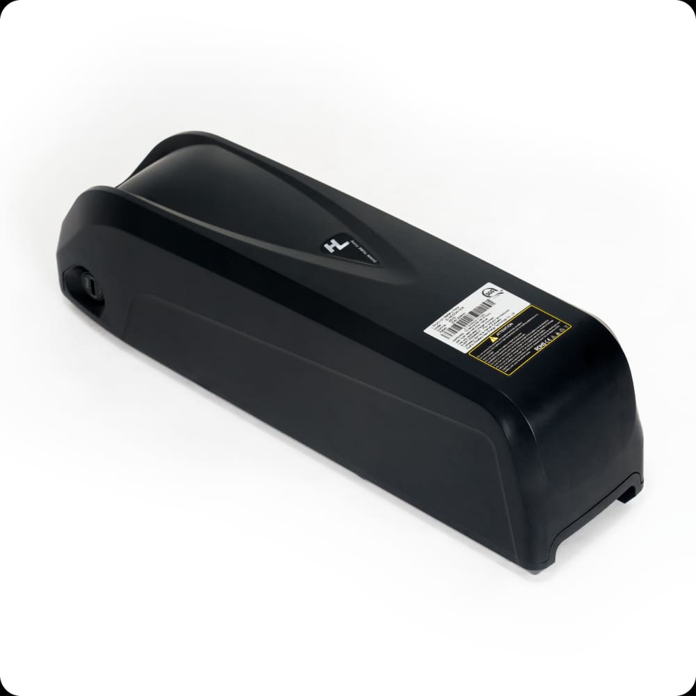 MC 48V/20Ah Trike Battery for TK Pro