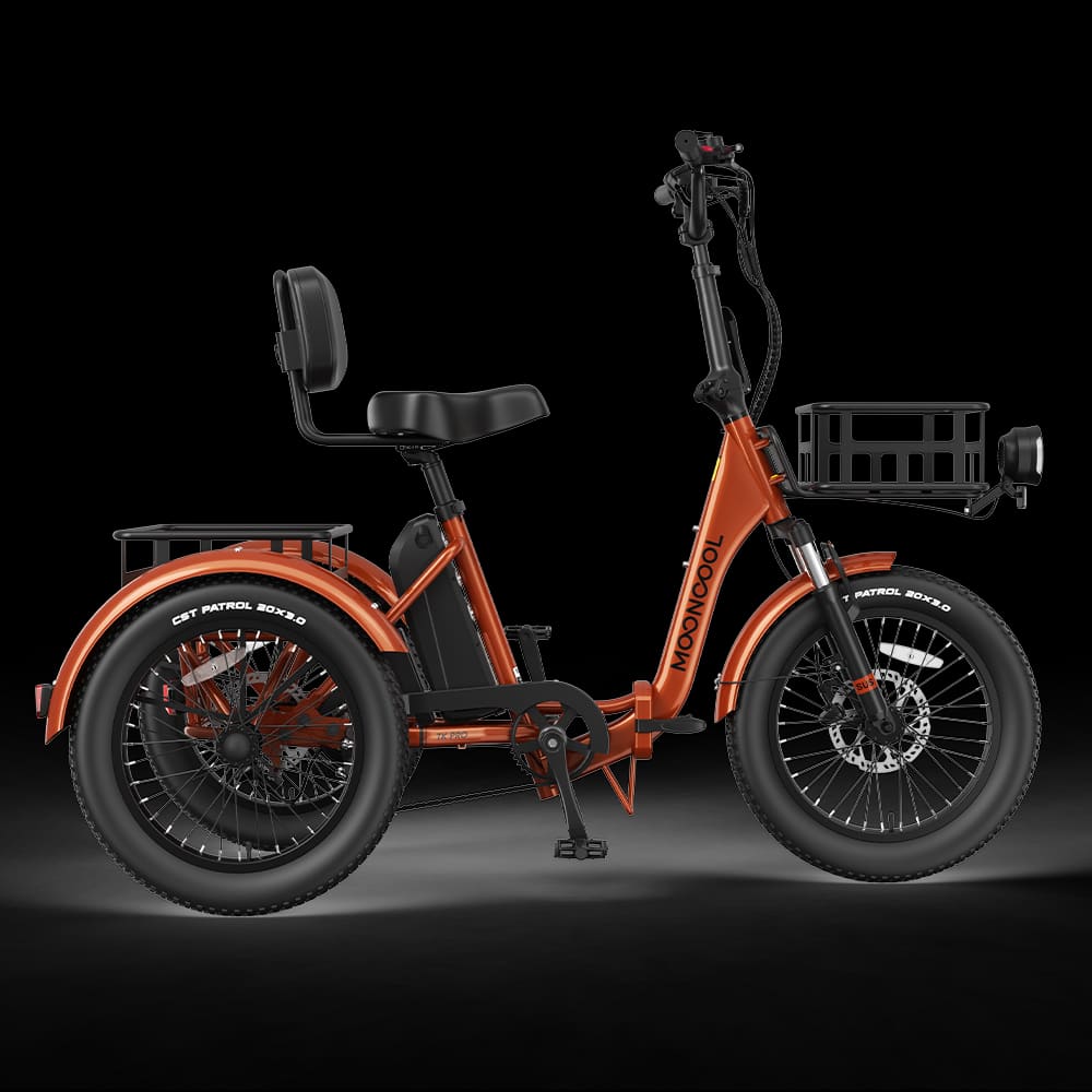 TK Pro Electric Trike