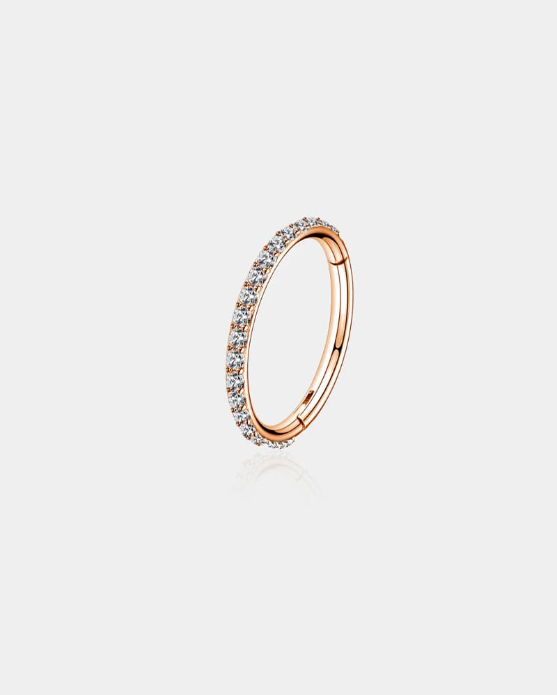 20G CZ Hinged Segment Nose Ring