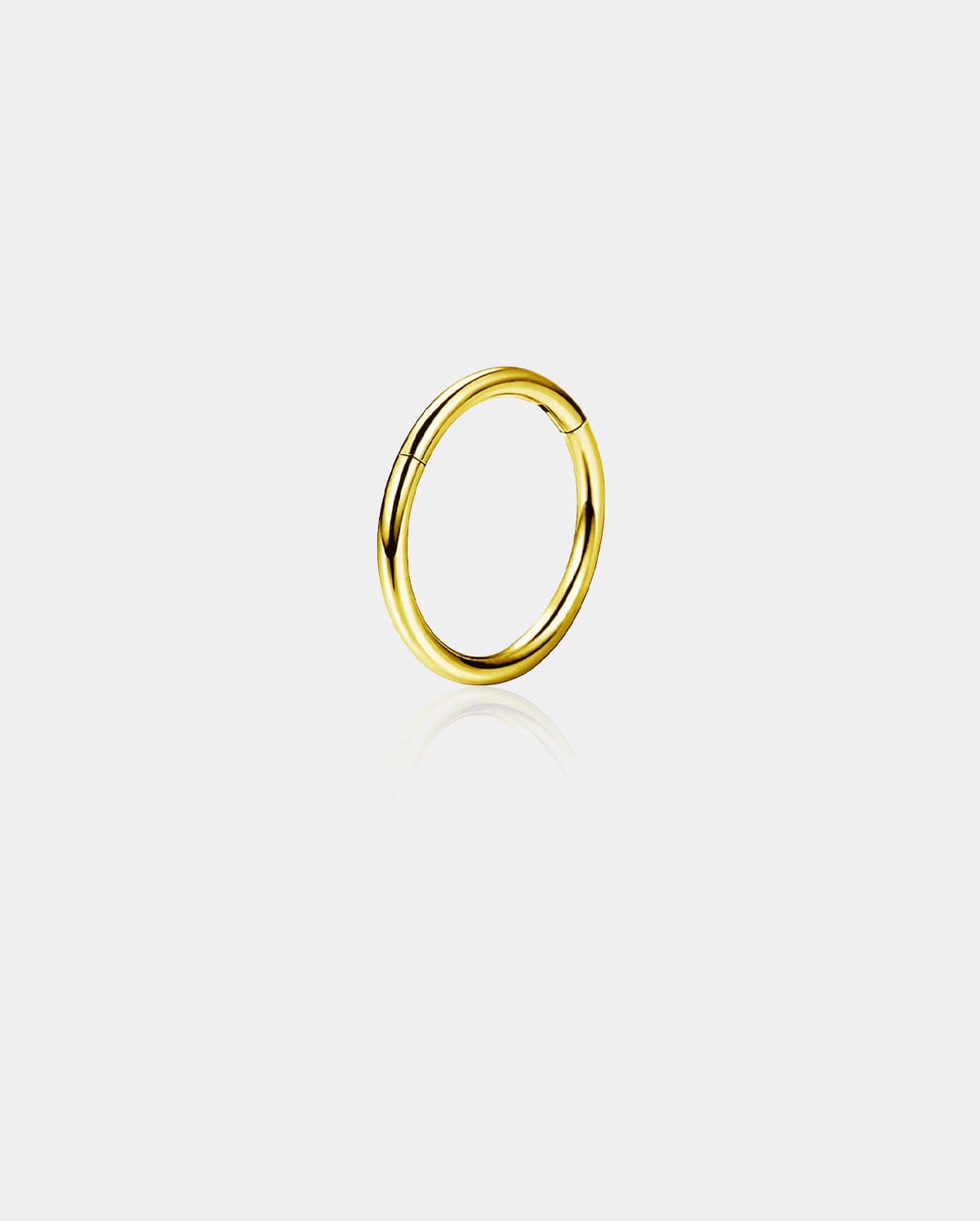 20G Titanium Hinged Segment Nose Ring