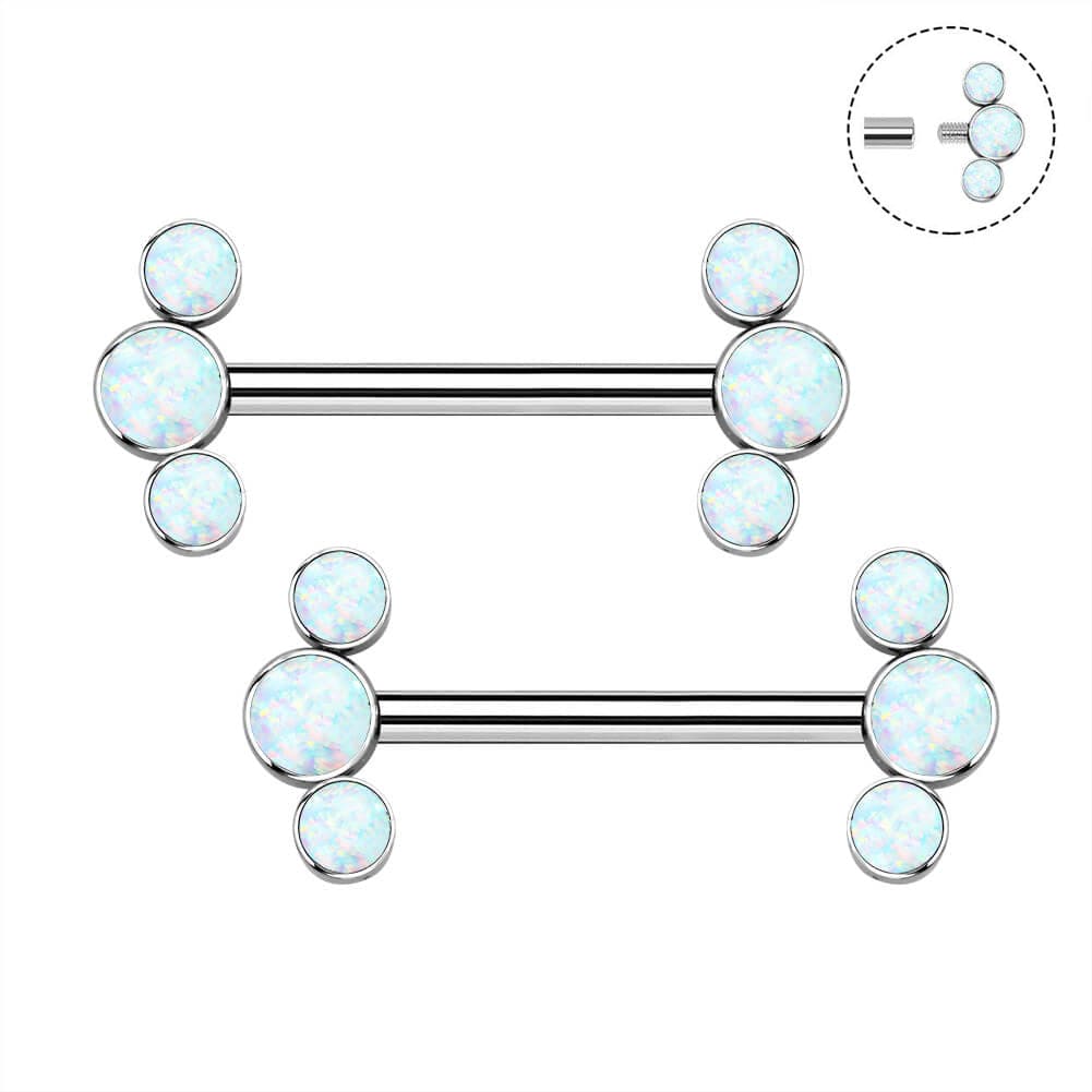 2Pcs Internally Threaded Titanium Nipple Barbell Pair