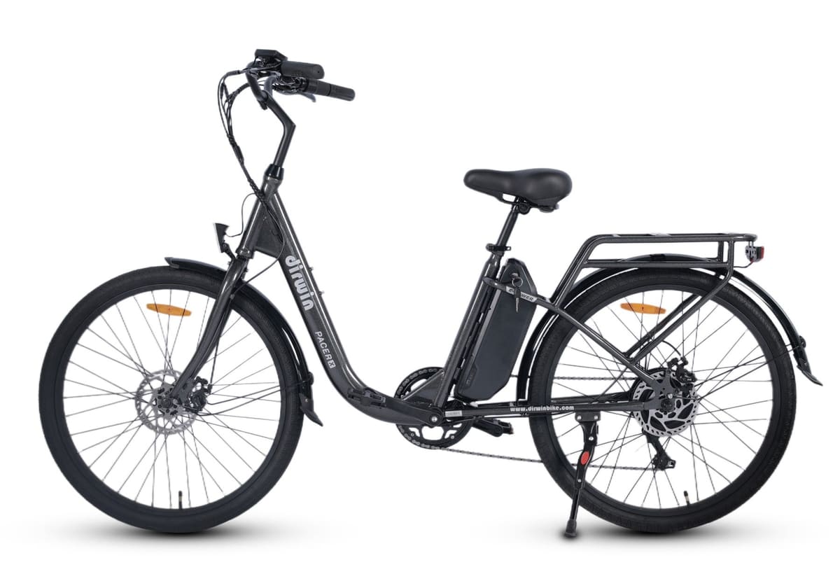 Pacer X Electric Bike