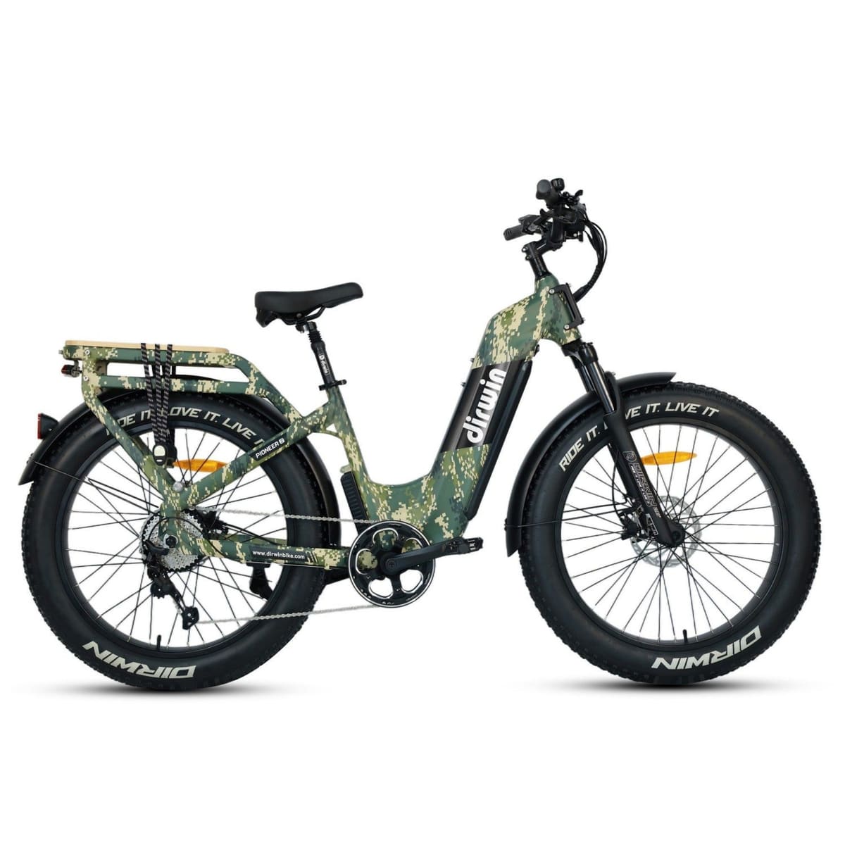 Pioneer 2 Long Range Electric Bike