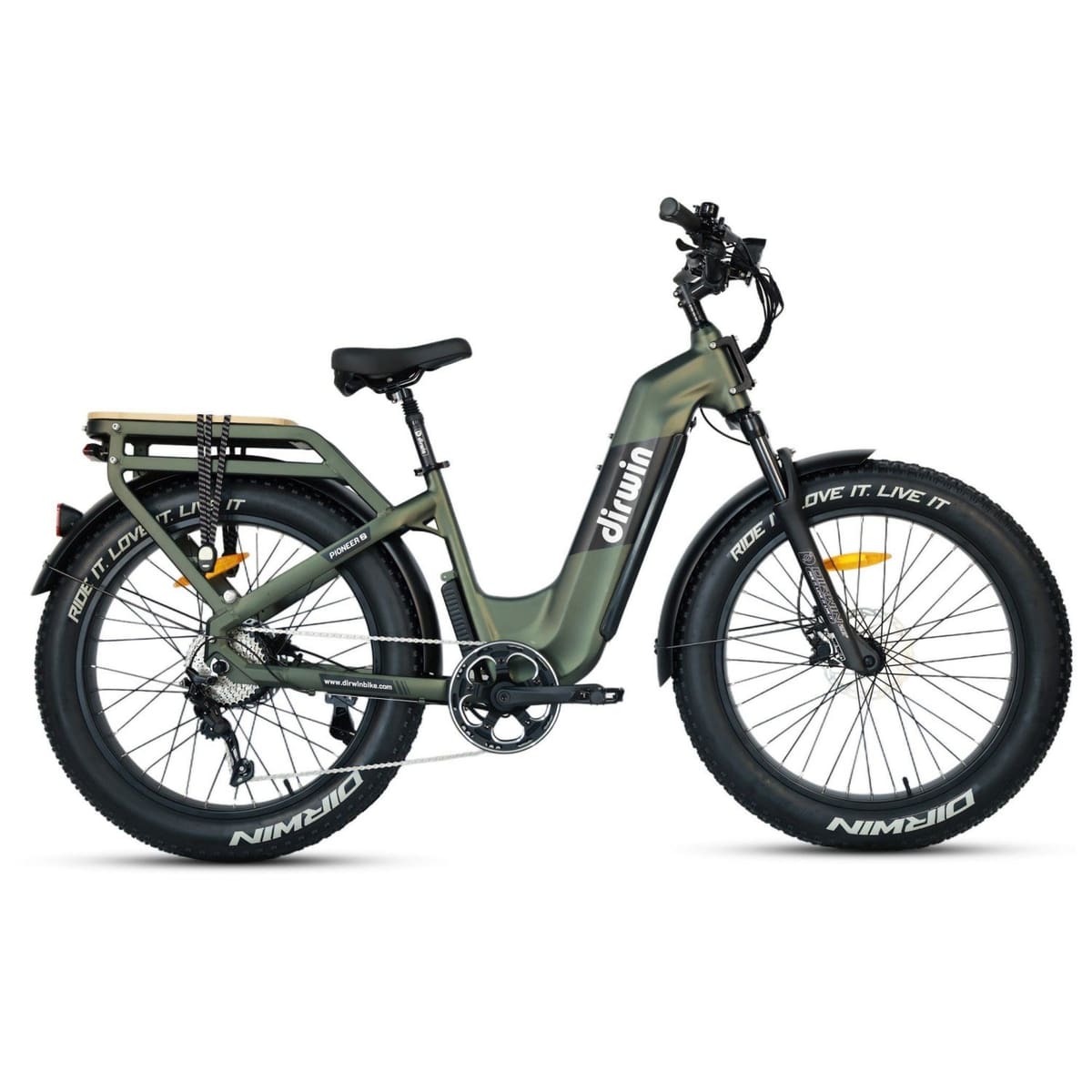 Pioneer 2 Long Range Electric Bike