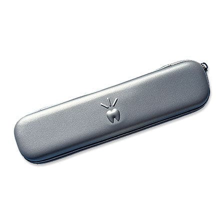 Triple Bristle Toothbrush Travel Case - SILVER