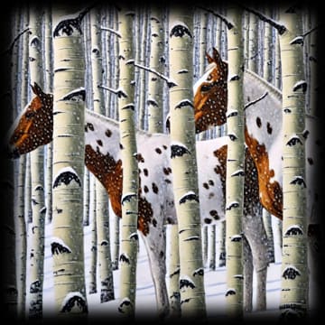 "Wild Horses - Winter Camouflage" - ASScoozie Design on FrostBuddy Universal Buddy | A Sweet Sip
